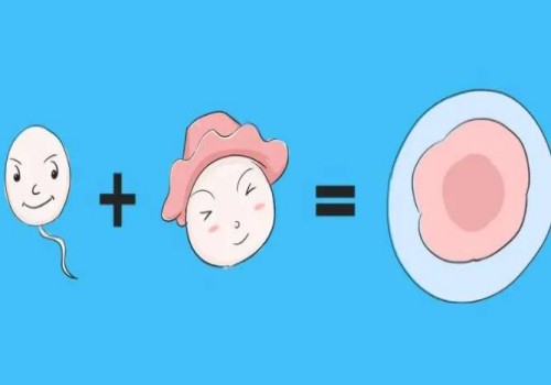 同房肚子疼是不是怀孕了,同房子宫疼说明什么