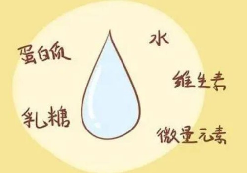 产妇分娩前是否要进行检查？揭示孕37周空腹查血再进食的重要性