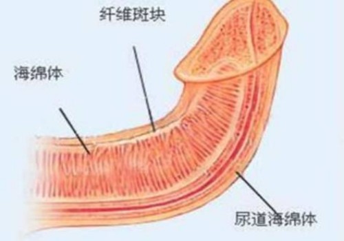 儿童脾胃不好的症状表现，家长又该如何解决？